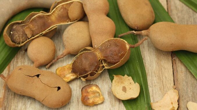 Tamarind pulp is widely used in Mexican cuisine, especially in sweets and beverages. (Mexican government)