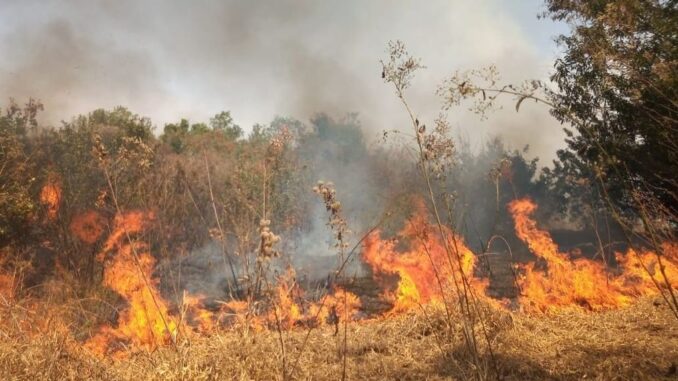 Wildfire in Guaiaçara, São Paulo, Brazil. The Atlantic Forest region is extremely dry, especially from July to October. (Loan Barbosa/SOS Mata Atlântica)